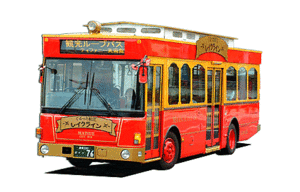 image1.gif