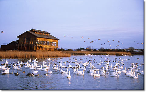 ramsar01.jpg