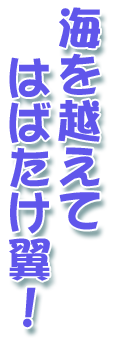 海を越えてはばたけ翼!