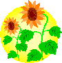 �C���[�W
